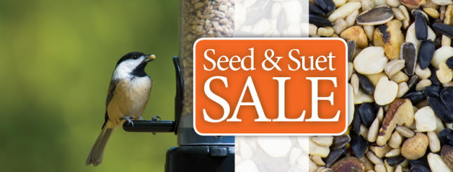 suet on sale